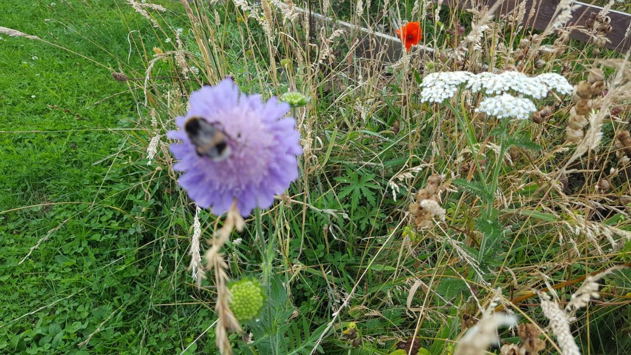 Wester Blackpark Farm Inverness Eksteriør bilde