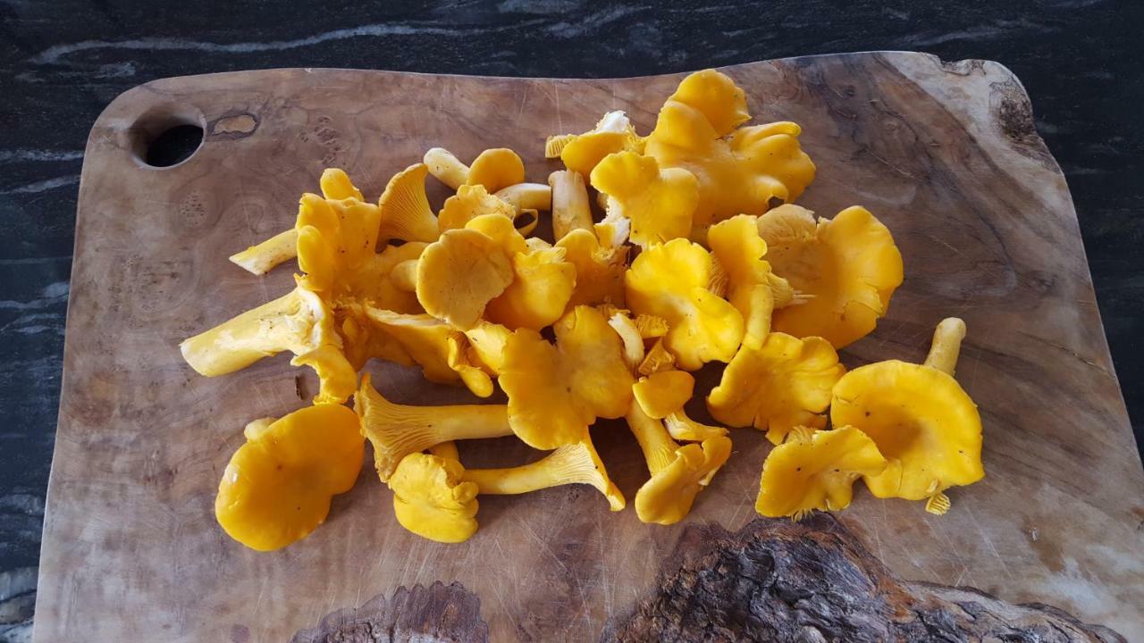 Wester Blackpark Farm Inverness Eksteriør bilde